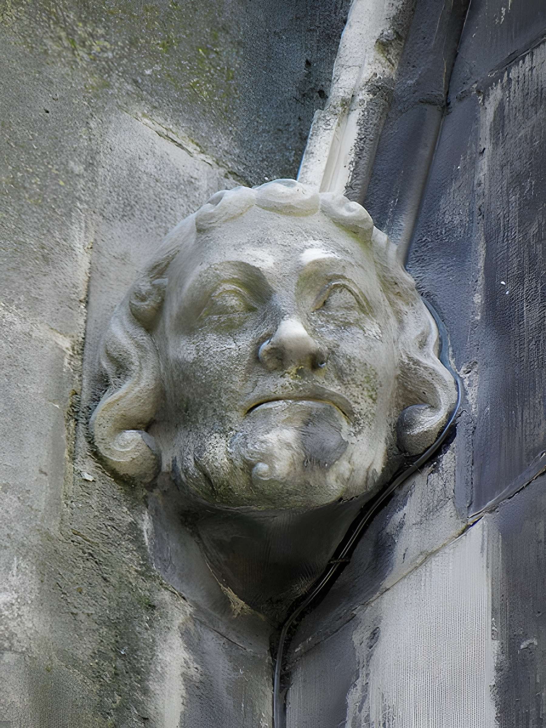 Cathédrale Saint-Étienne de Meaux