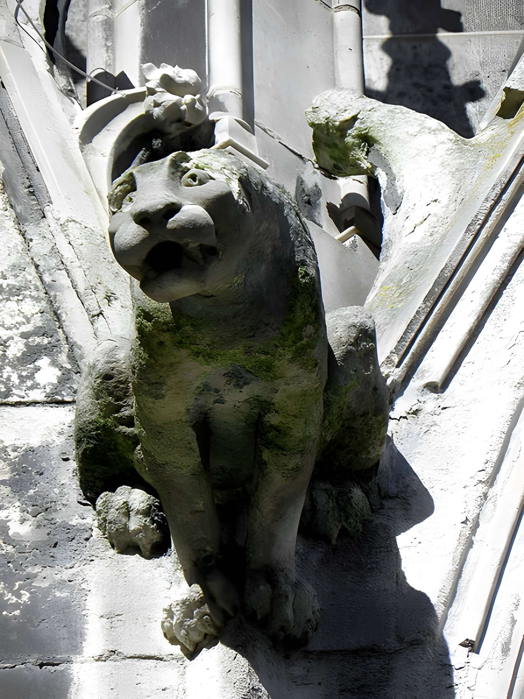 Cathédrale Saint-Étienne de Meaux