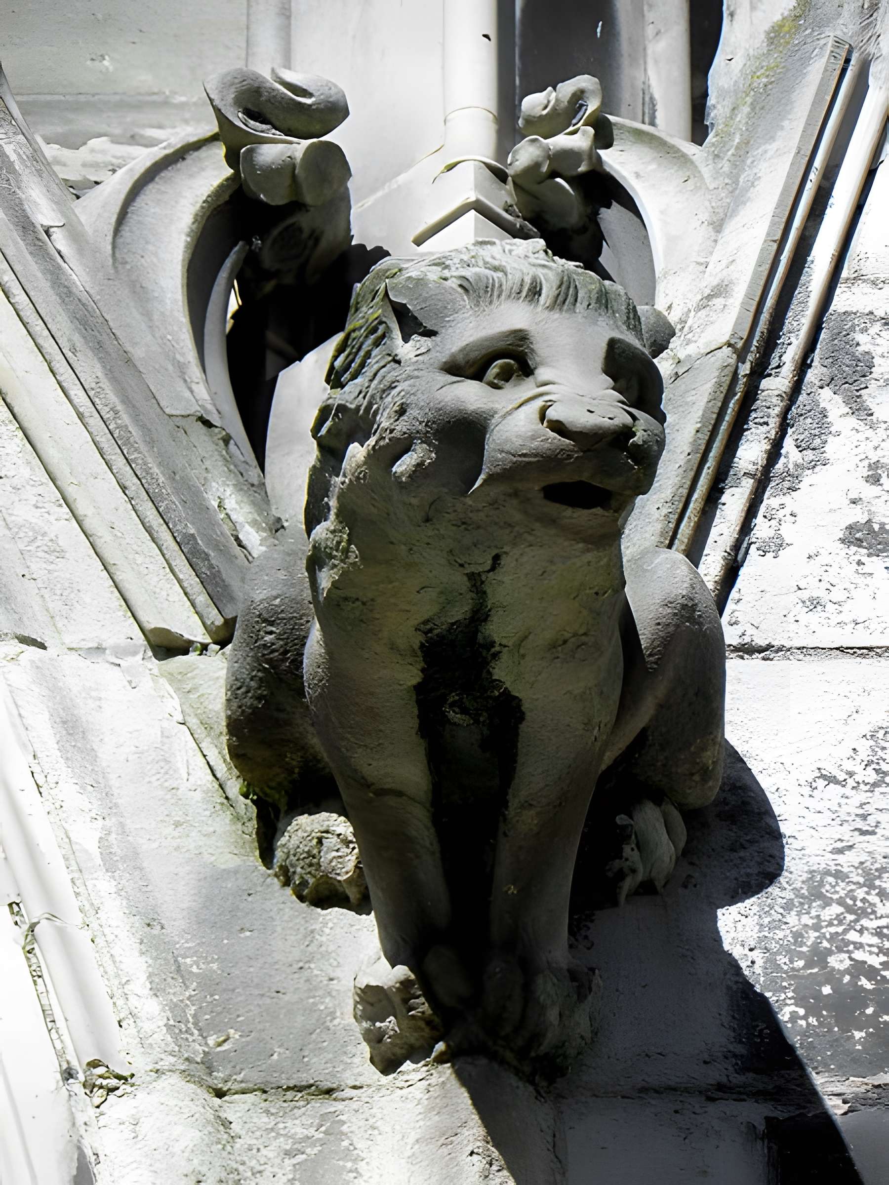 Cathédrale Saint-Étienne de Meaux