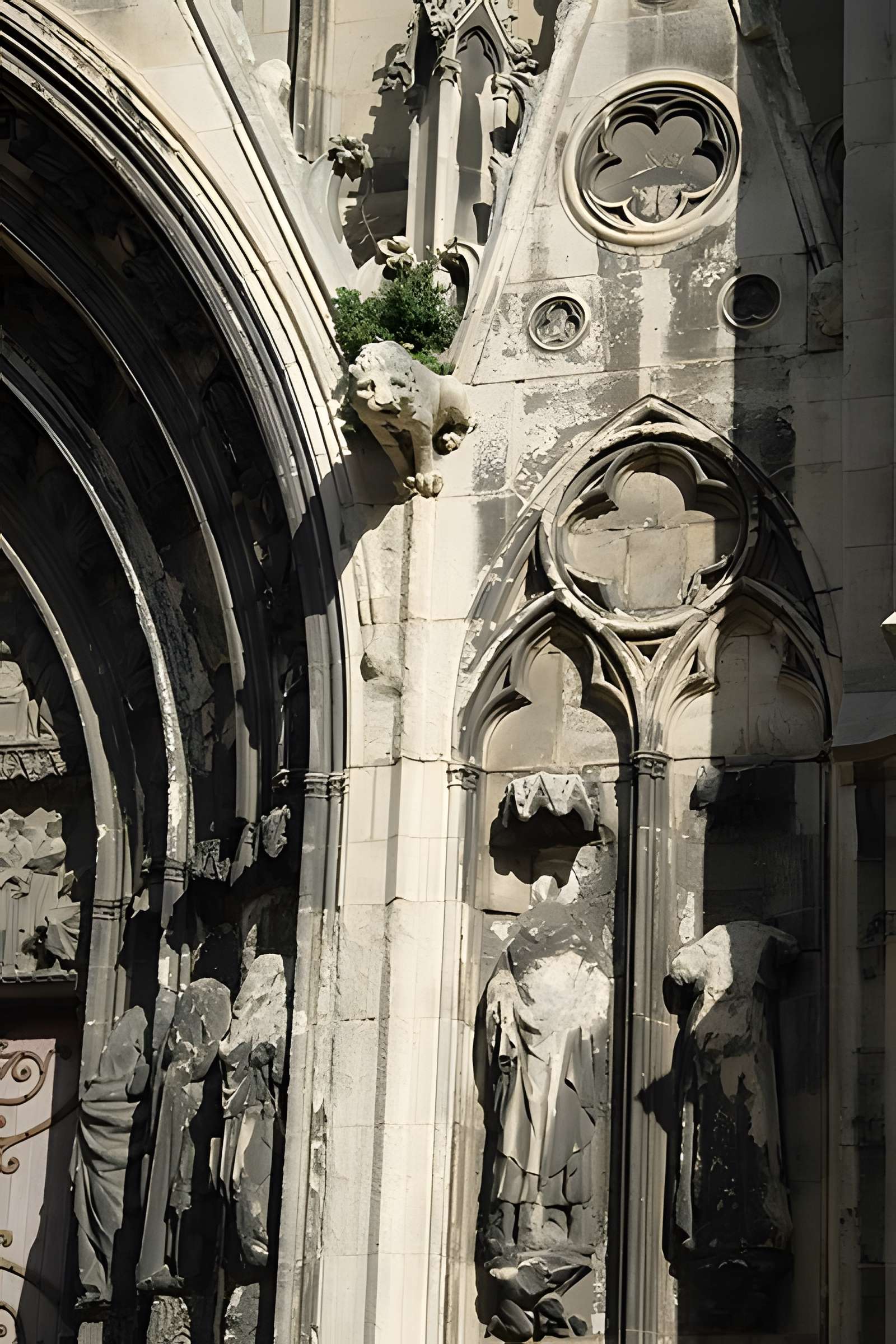 Cathédrale Saint-Étienne de Meaux