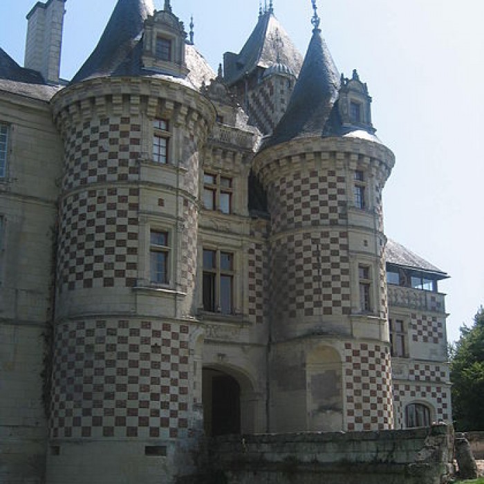 Photo de Château des Réaux à Chouzé-sur-Loire