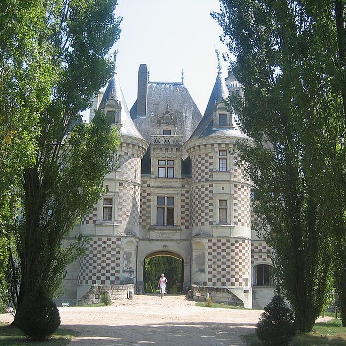 Photo de Château des Réaux à Chouzé-sur-Loire