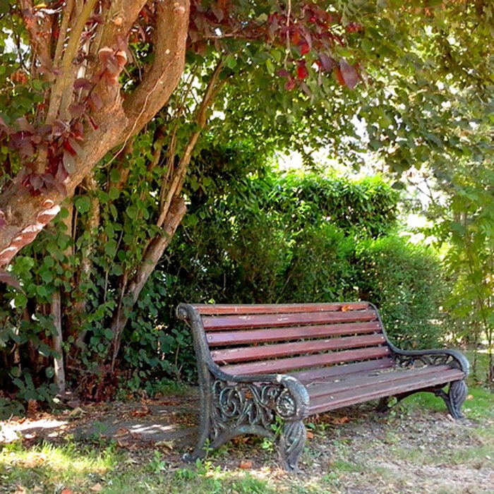 Photo de Château des Réaux à Chouzé-sur-Loire
