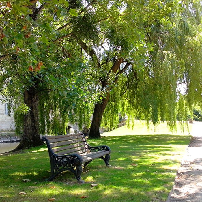 Photo de Château des Réaux à Chouzé-sur-Loire