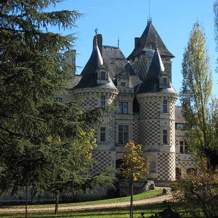 Photo de Château des Réaux à Chouzé-sur-Loire