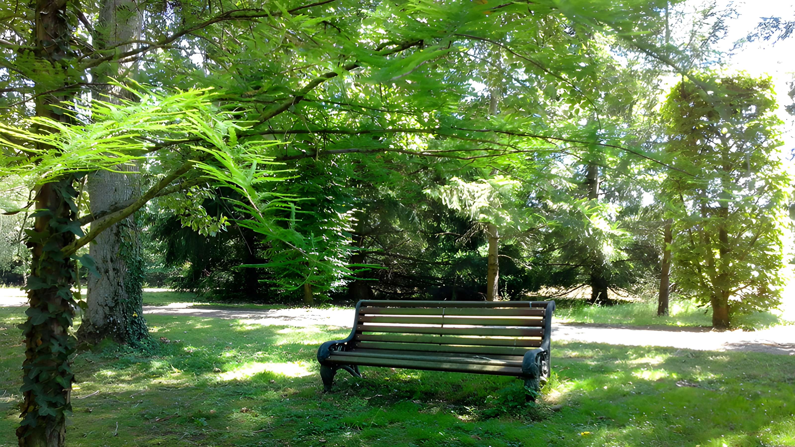 Château des Réaux à Chouzé-sur-Loire