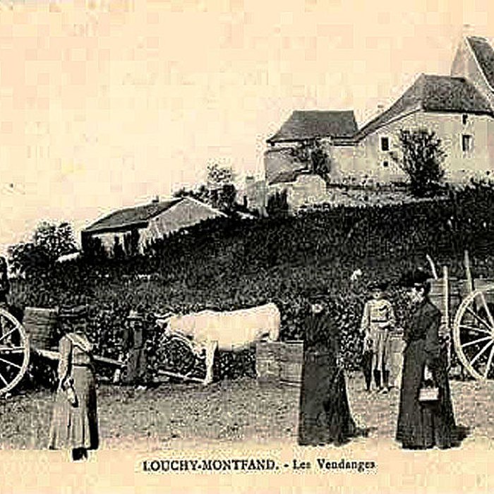 Photo de Château de Montfand