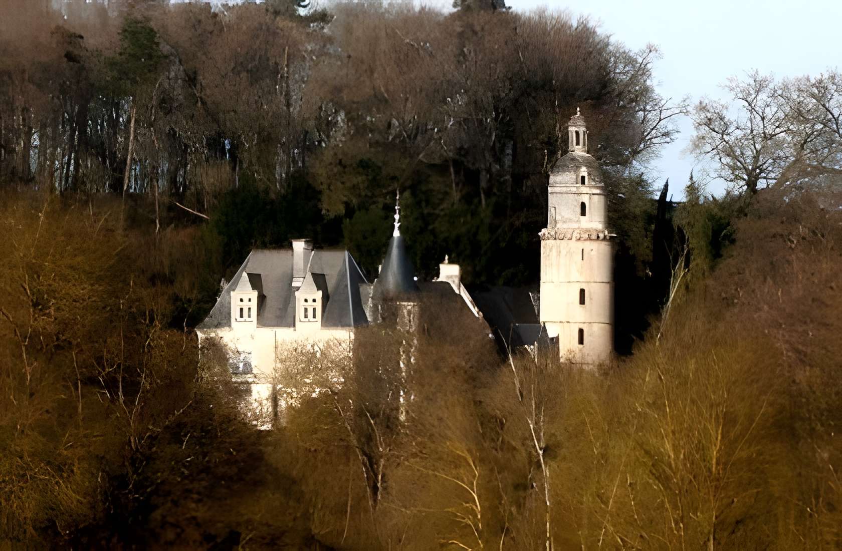 Château des Roches-Saint-Quentin 