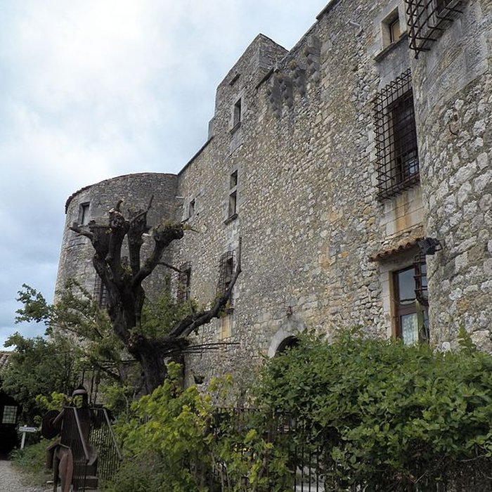 Photo de Château des Roure