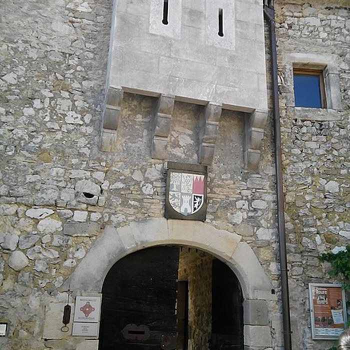 Photo de Château des Roure