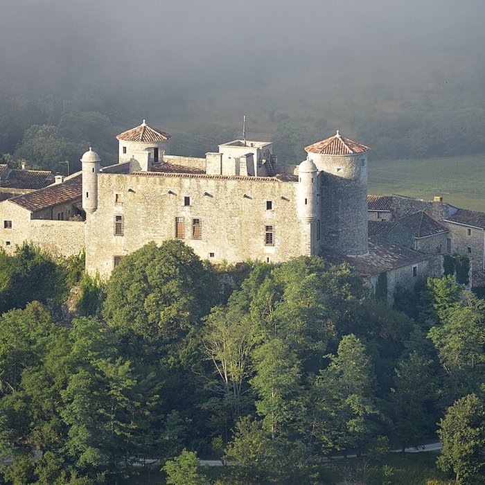 Photo de Château des Roure