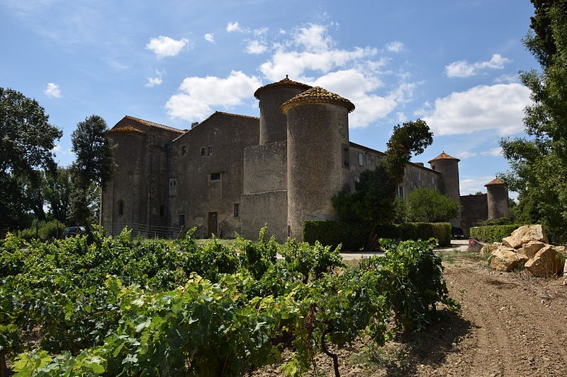 Photo de Château des Saptes