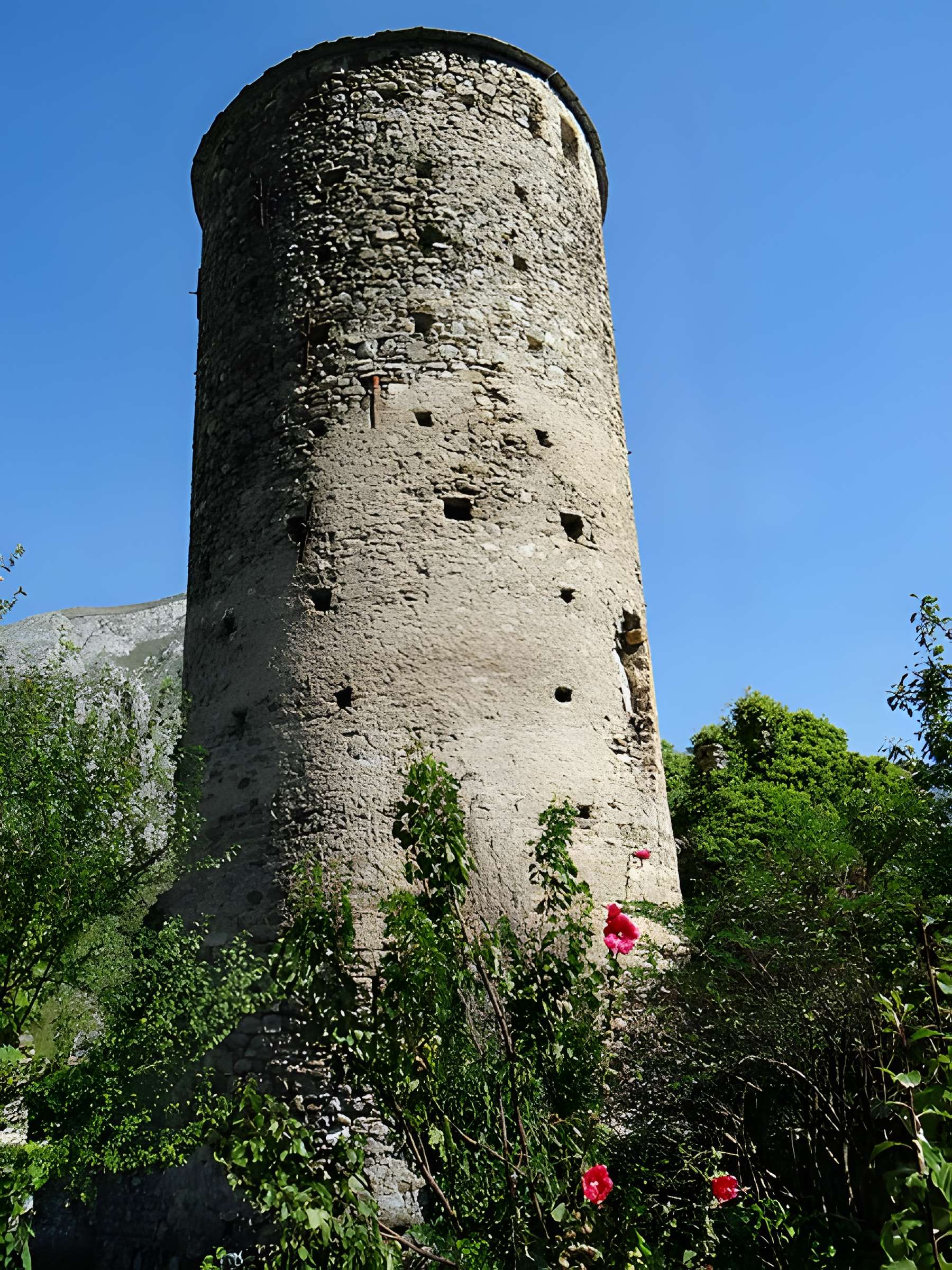 Château des Seigneurs de la Brigue