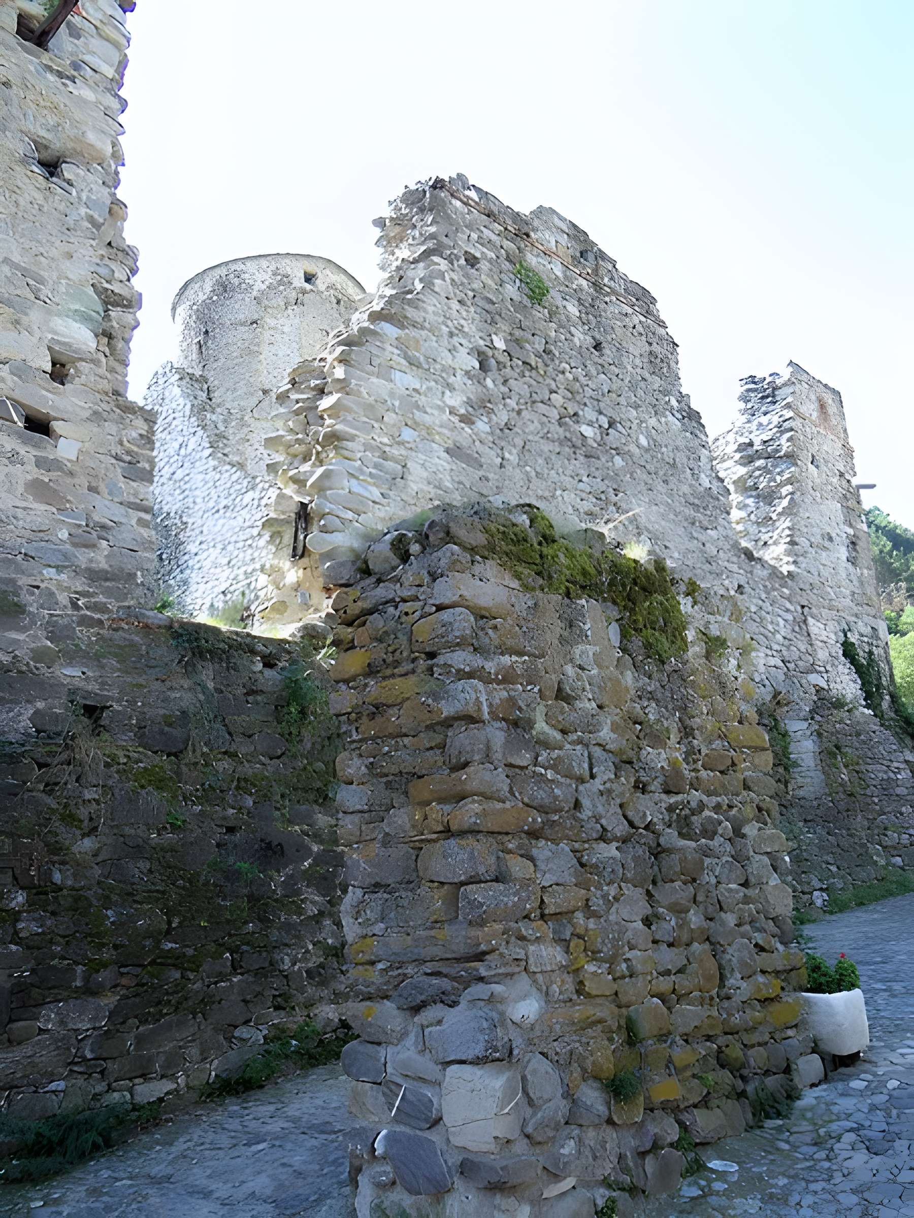 Château des Seigneurs de la Brigue