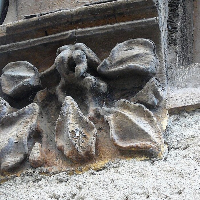 Photo de Maison de Jeanne dArc