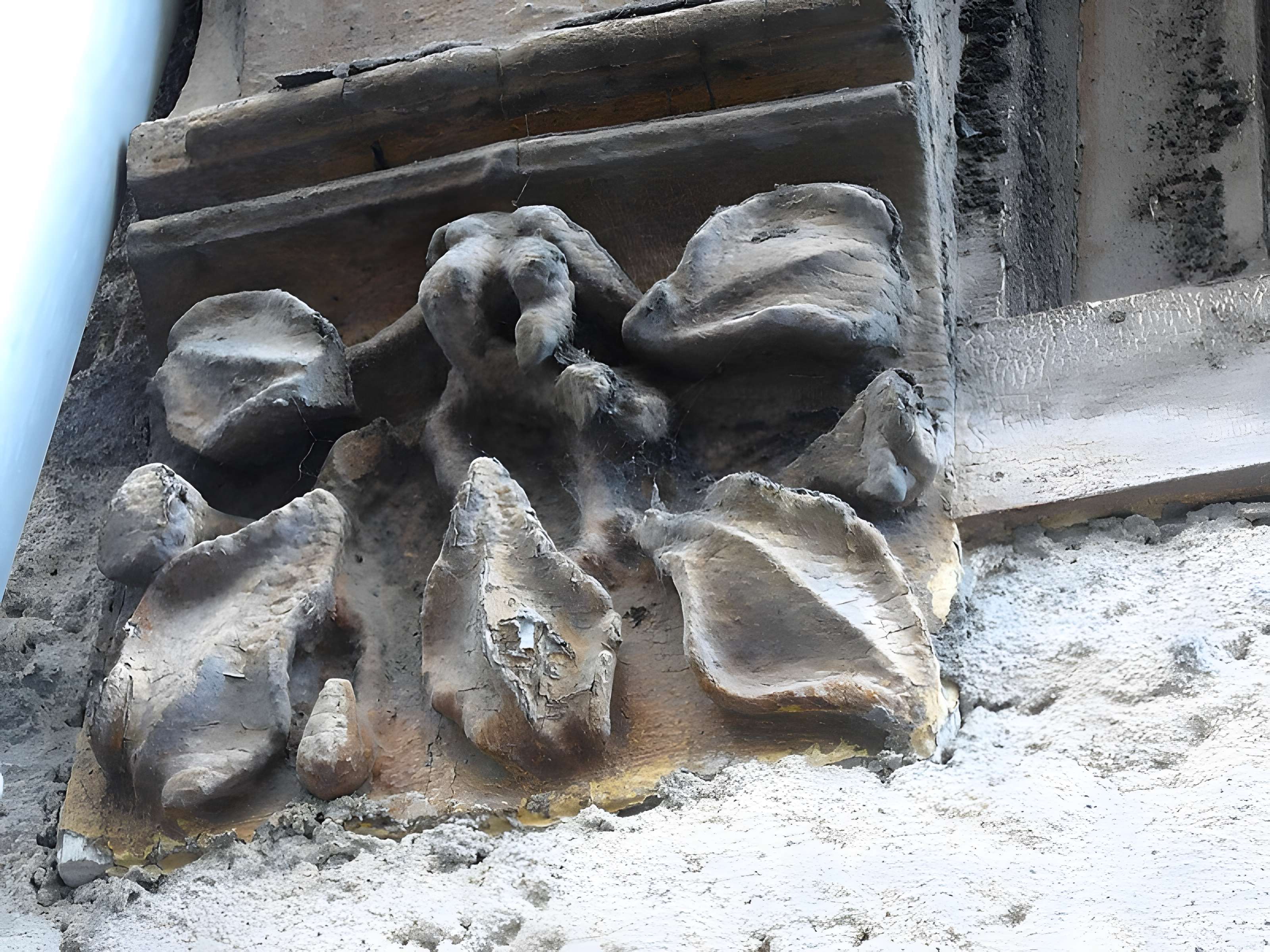 Maison de Jeanne d'Arc