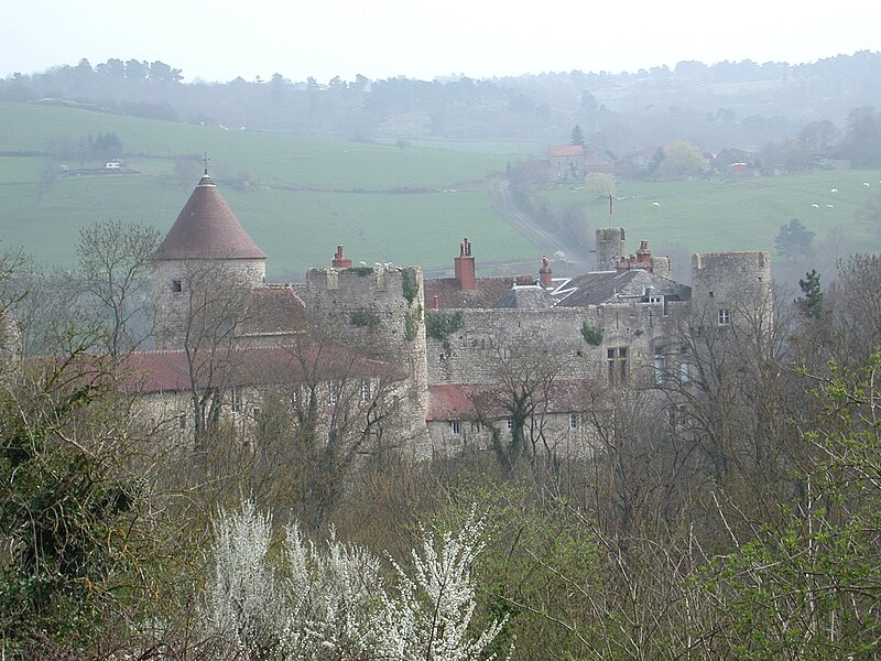 Photo de Château de Rochefort