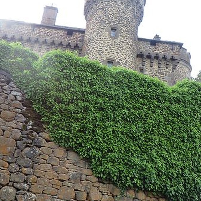 Photo de Château des Ternes