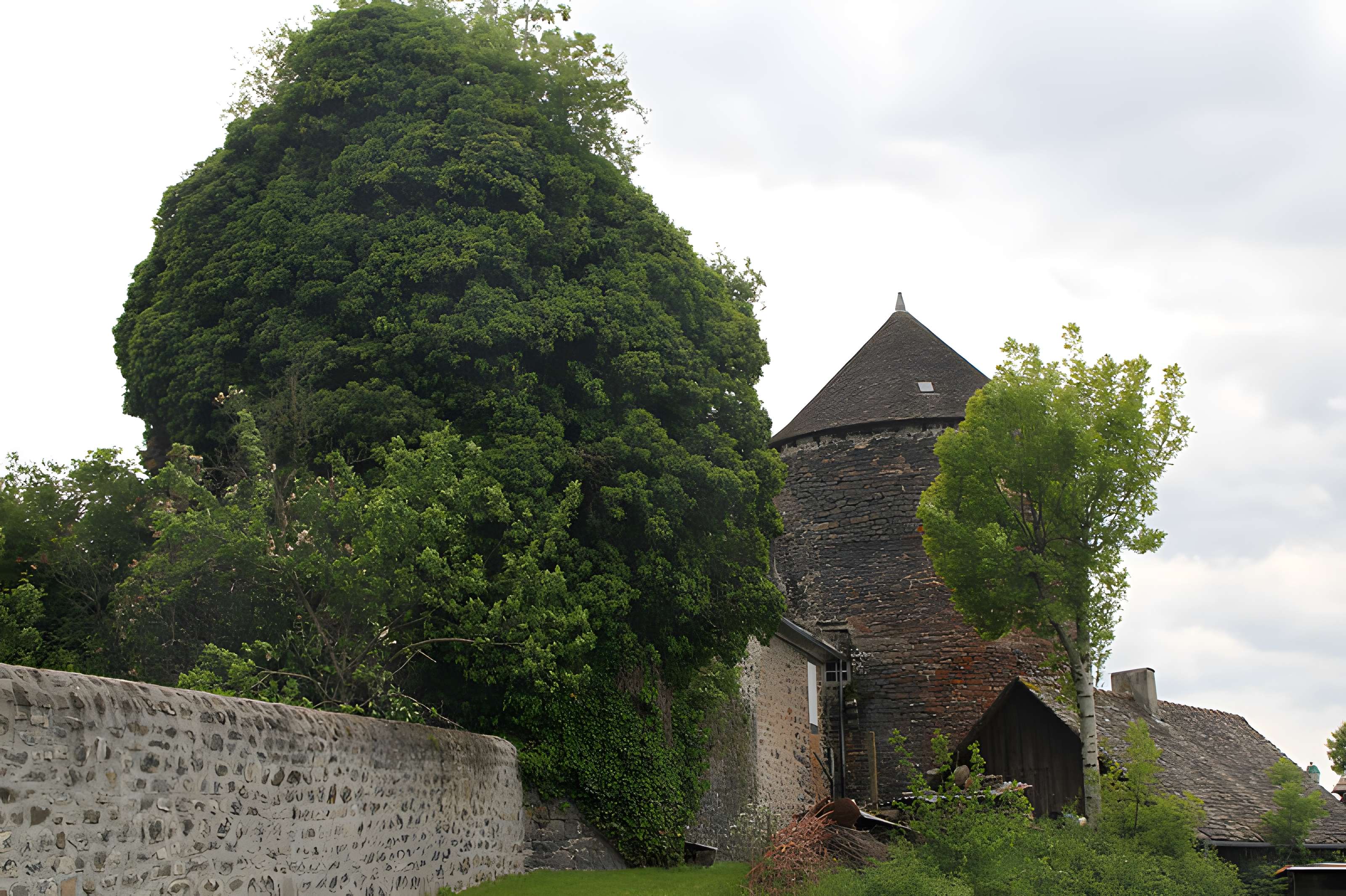 Château d'Escorailles