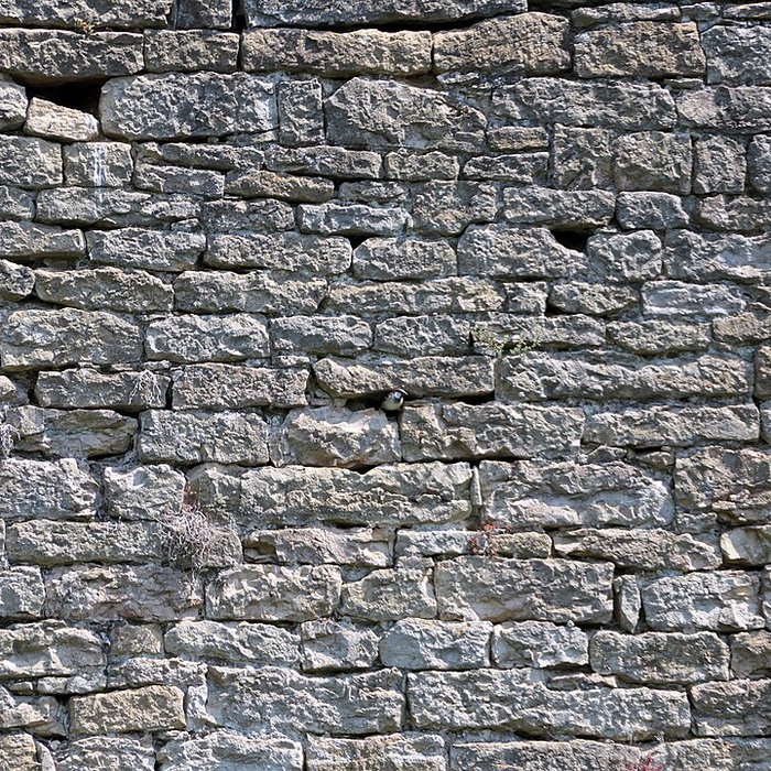 Photo de Château dÉtrabonne