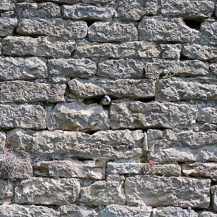 Photo de Château dÉtrabonne