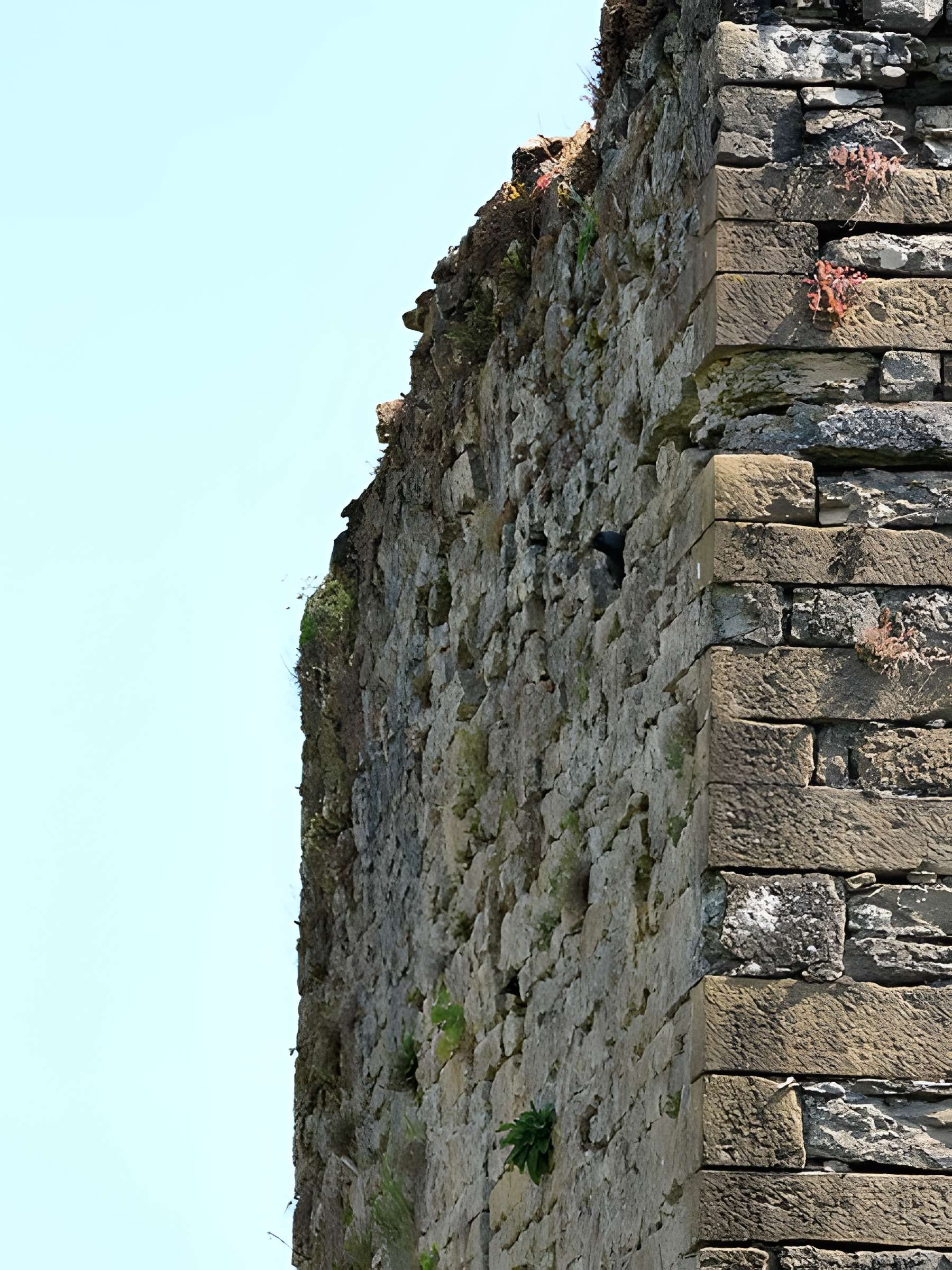 Château d'Étrabonne