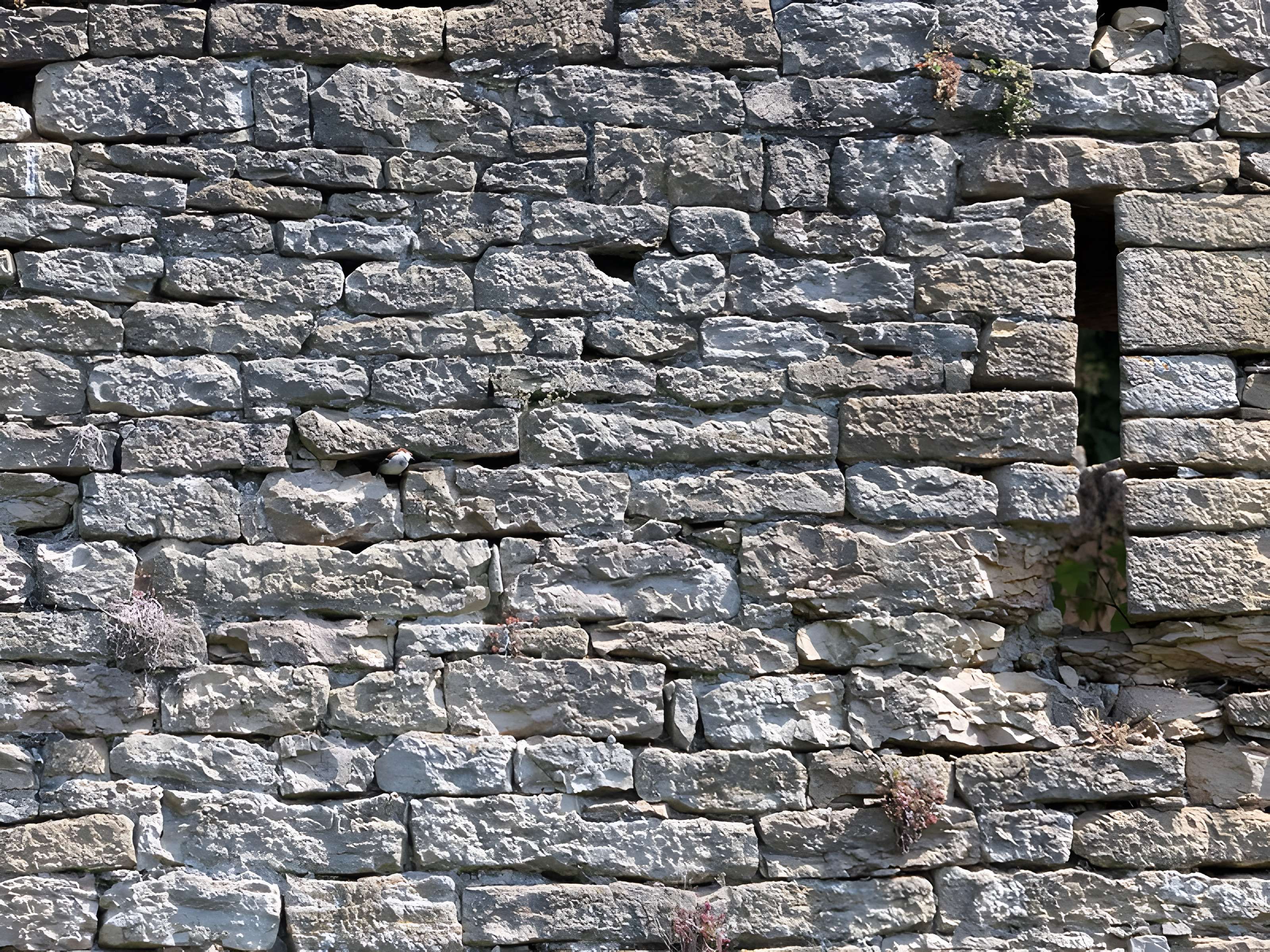 Château d'Étrabonne