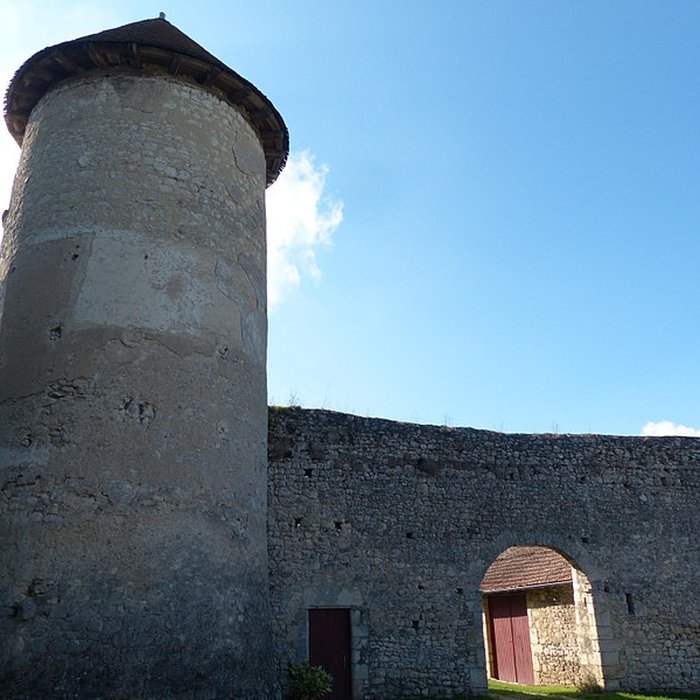 Photo de Château du Chatelard