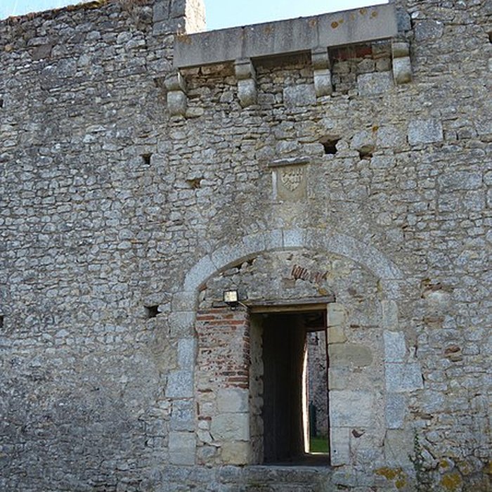 Photo de Château du Chatelard