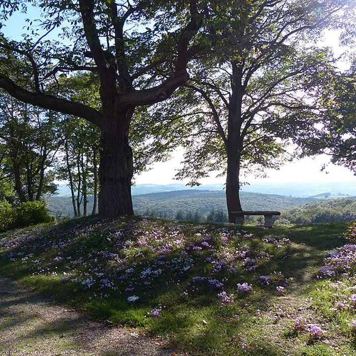 Photo de Château du Chatelard