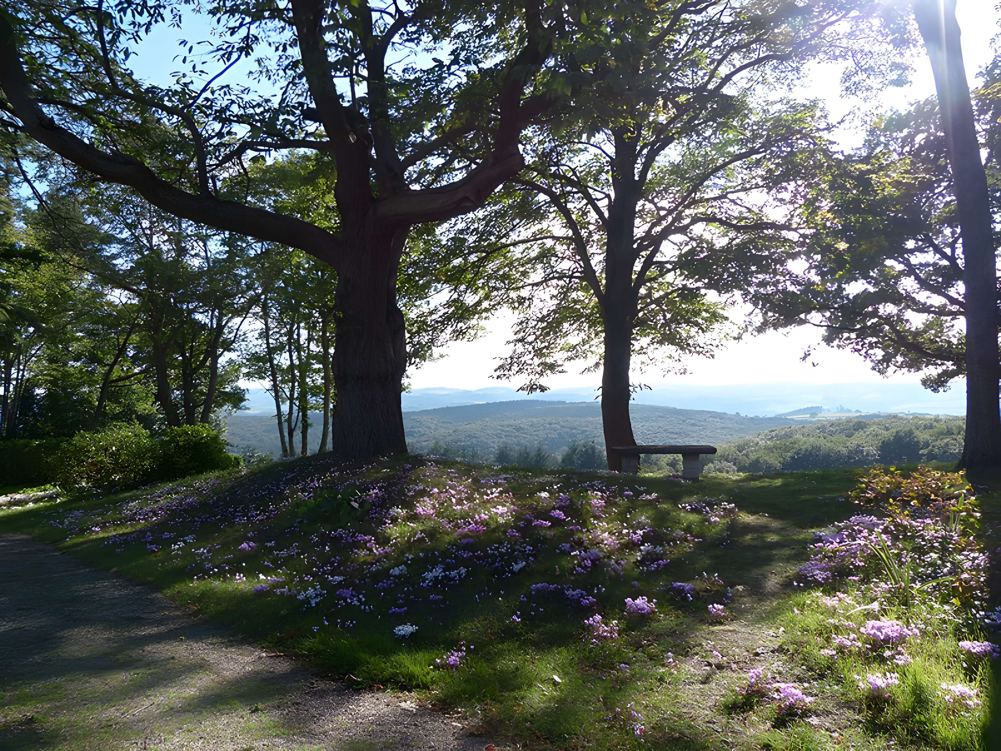 Château du Chatelard