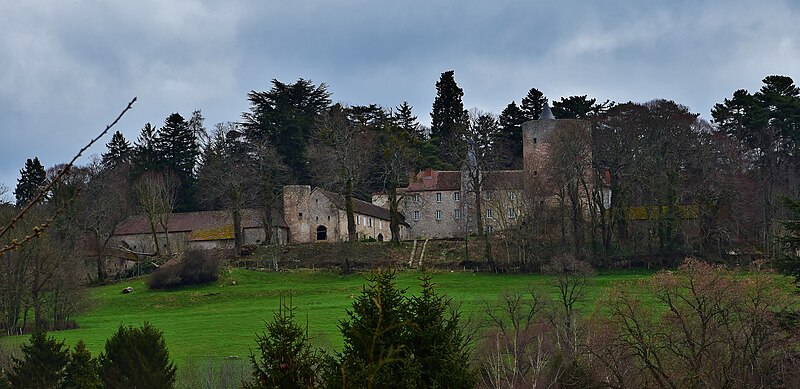 Photo de Château de Beauvoir