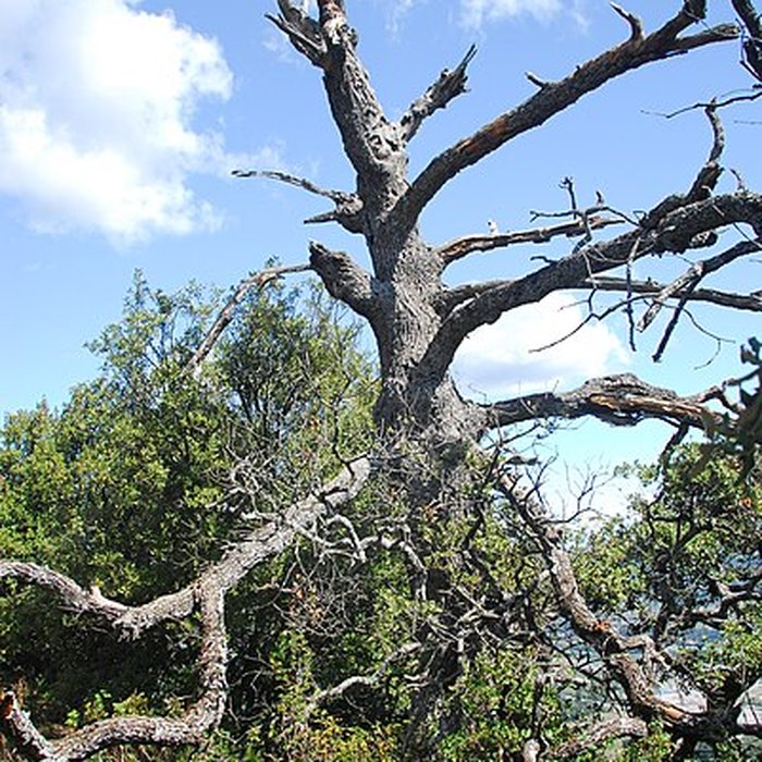 Photo de Prieuré