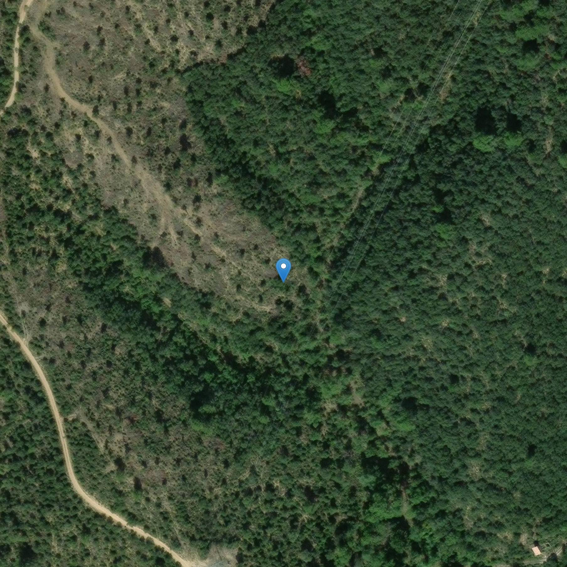 Photo de Schloss von Lineau