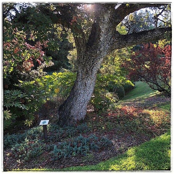 Photo de Parc et jardins de Champfleuri