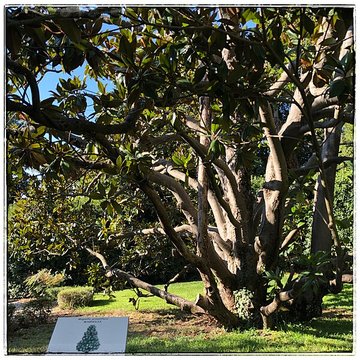 Parc et jardins de Champfleuri