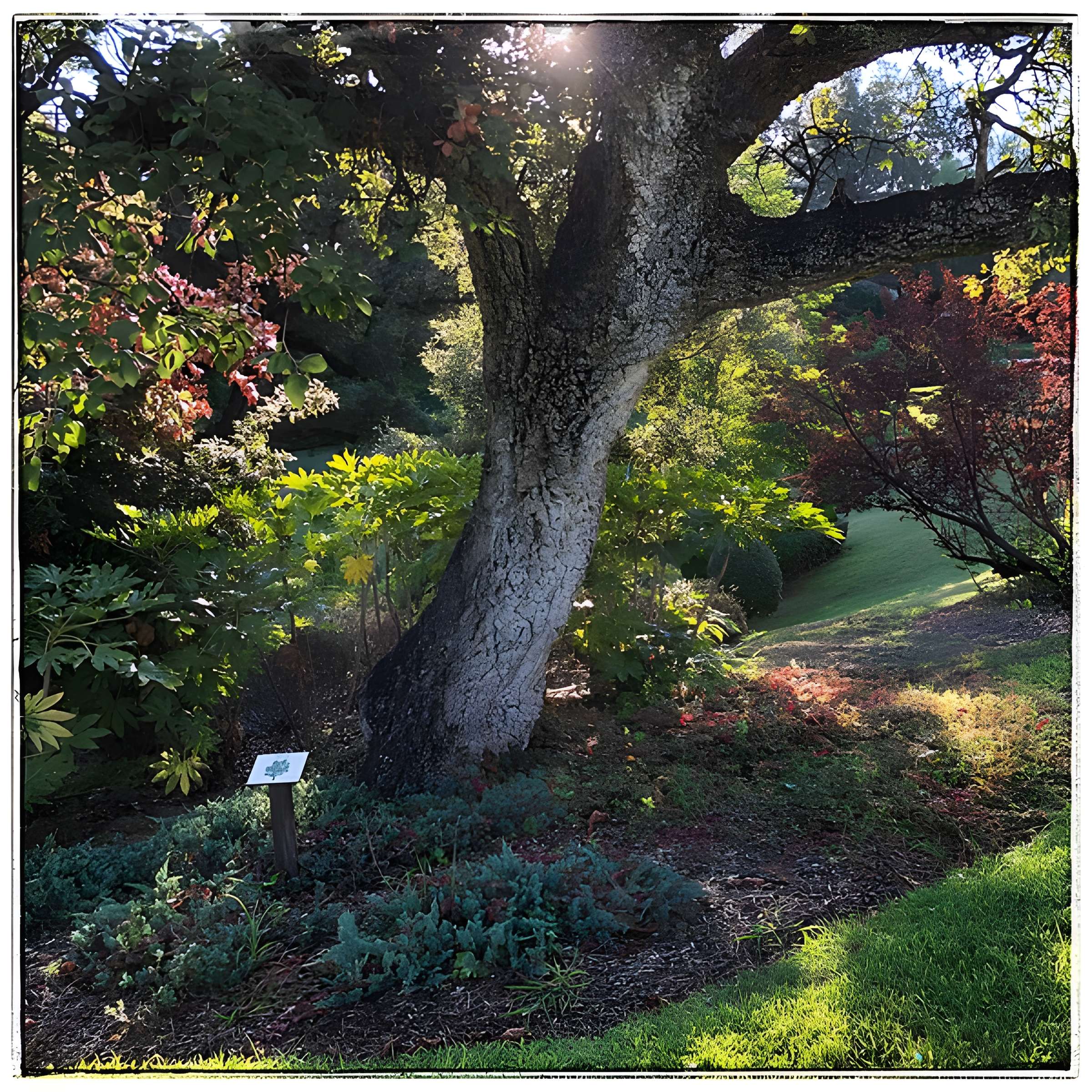 Parc et jardins de Champfleuri