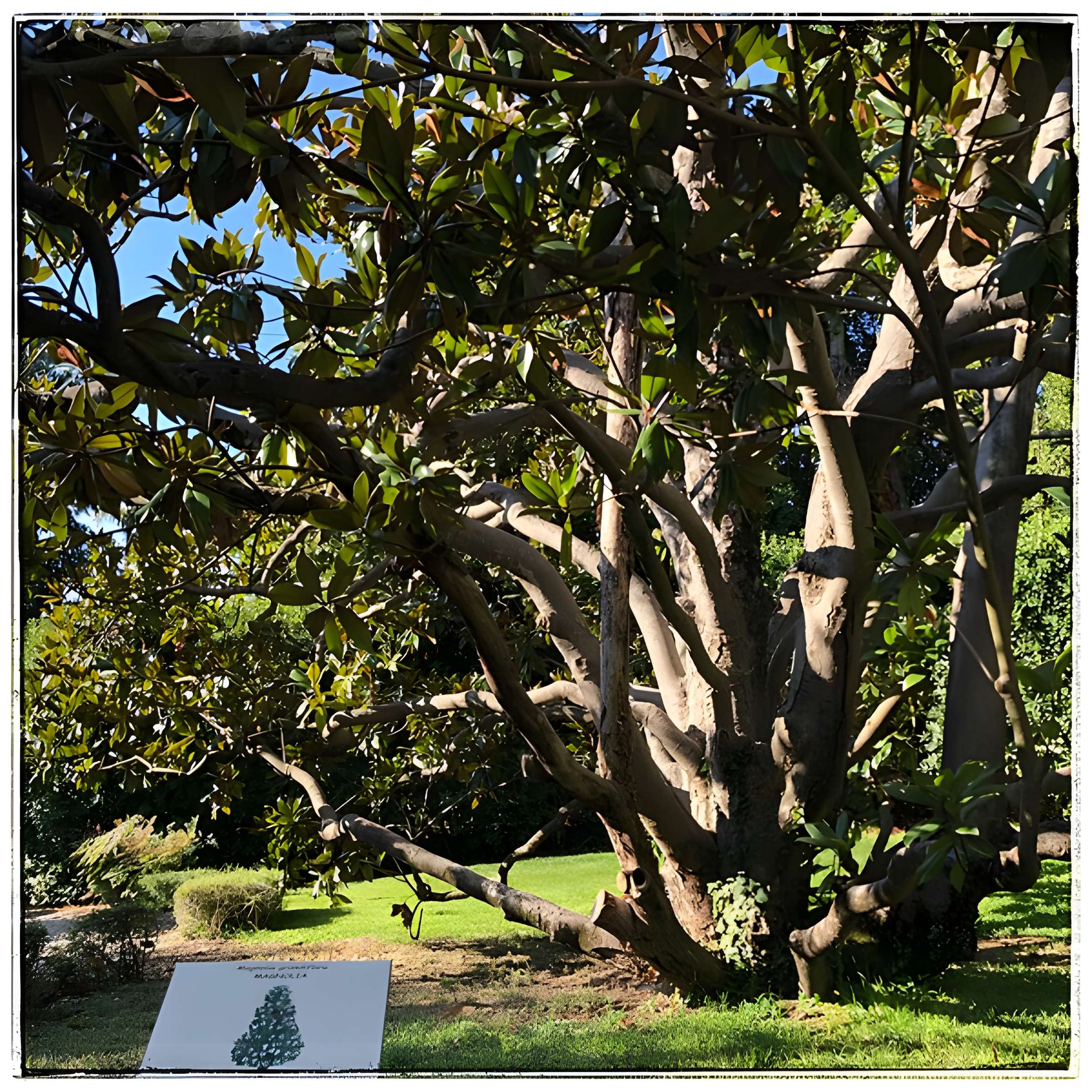 Parc et jardins de Champfleuri