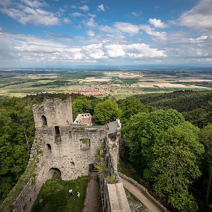 Photo de Château du Bernstein