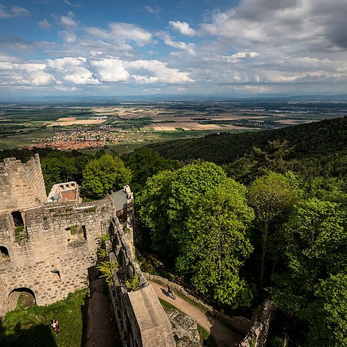 Photo de Château du Bernstein