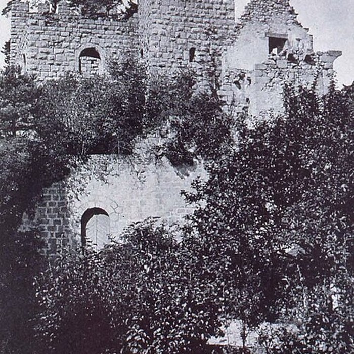 Photo de Château du Bernstein