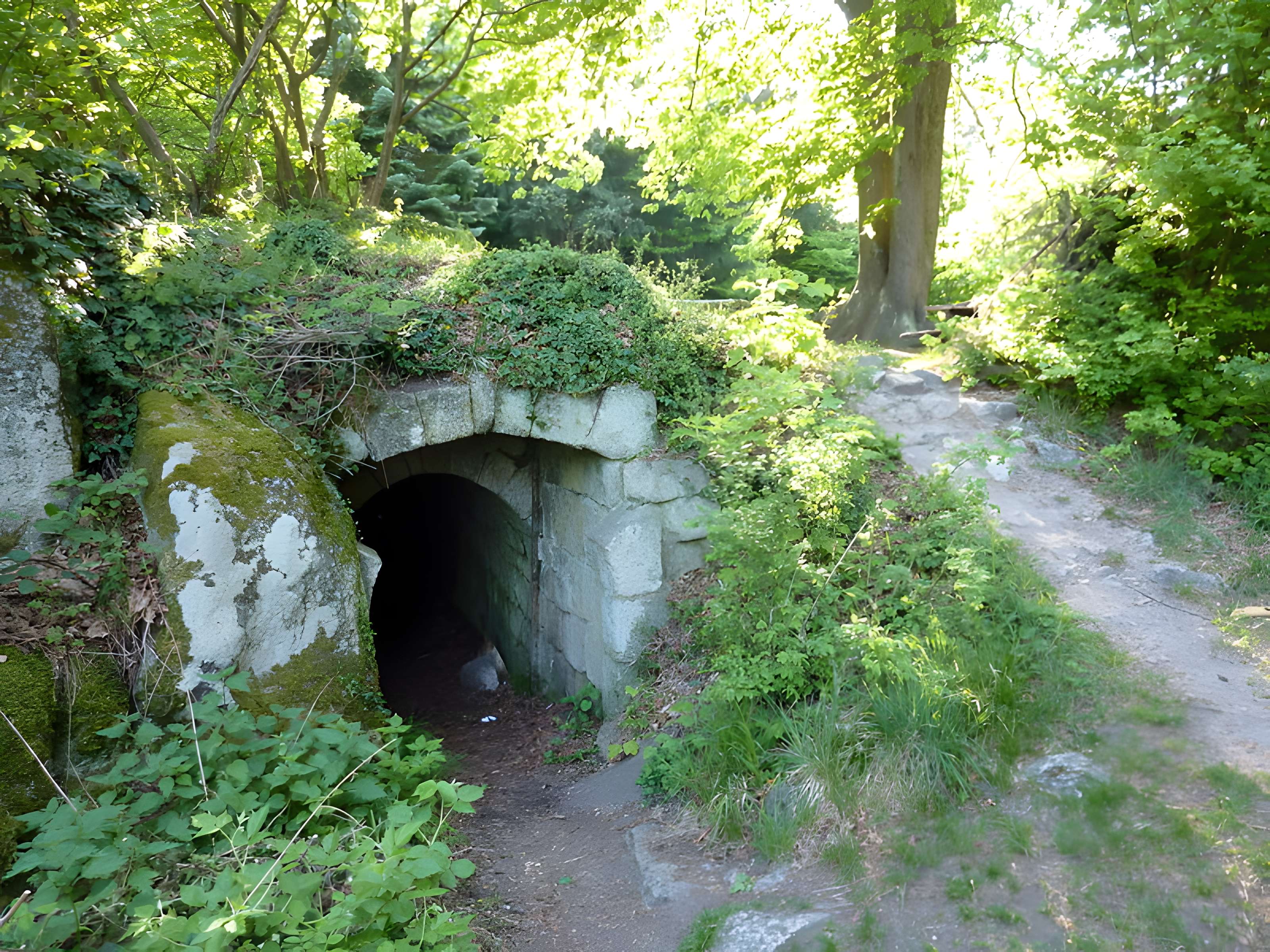 Château du Bernstein