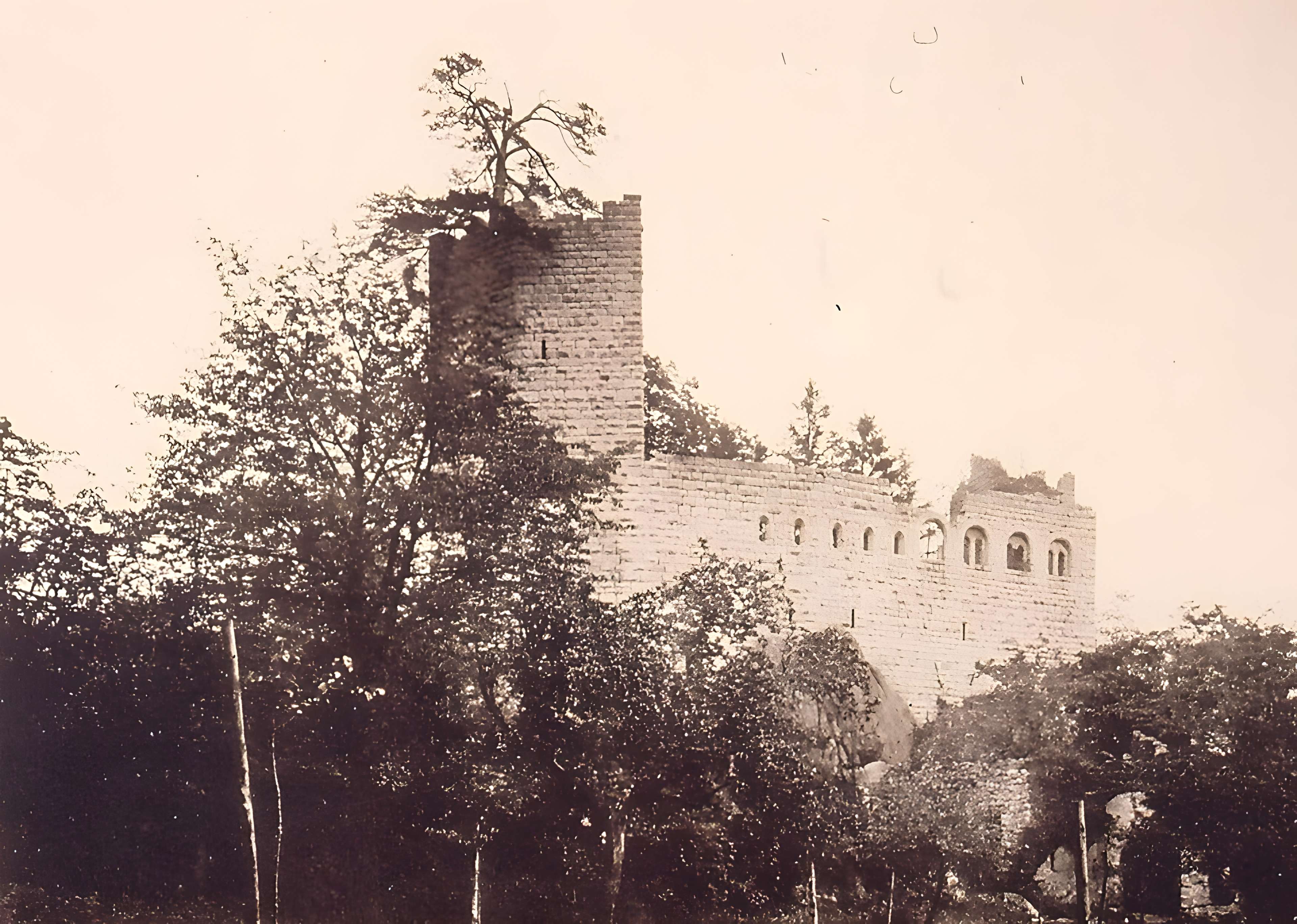 Château du Bernstein