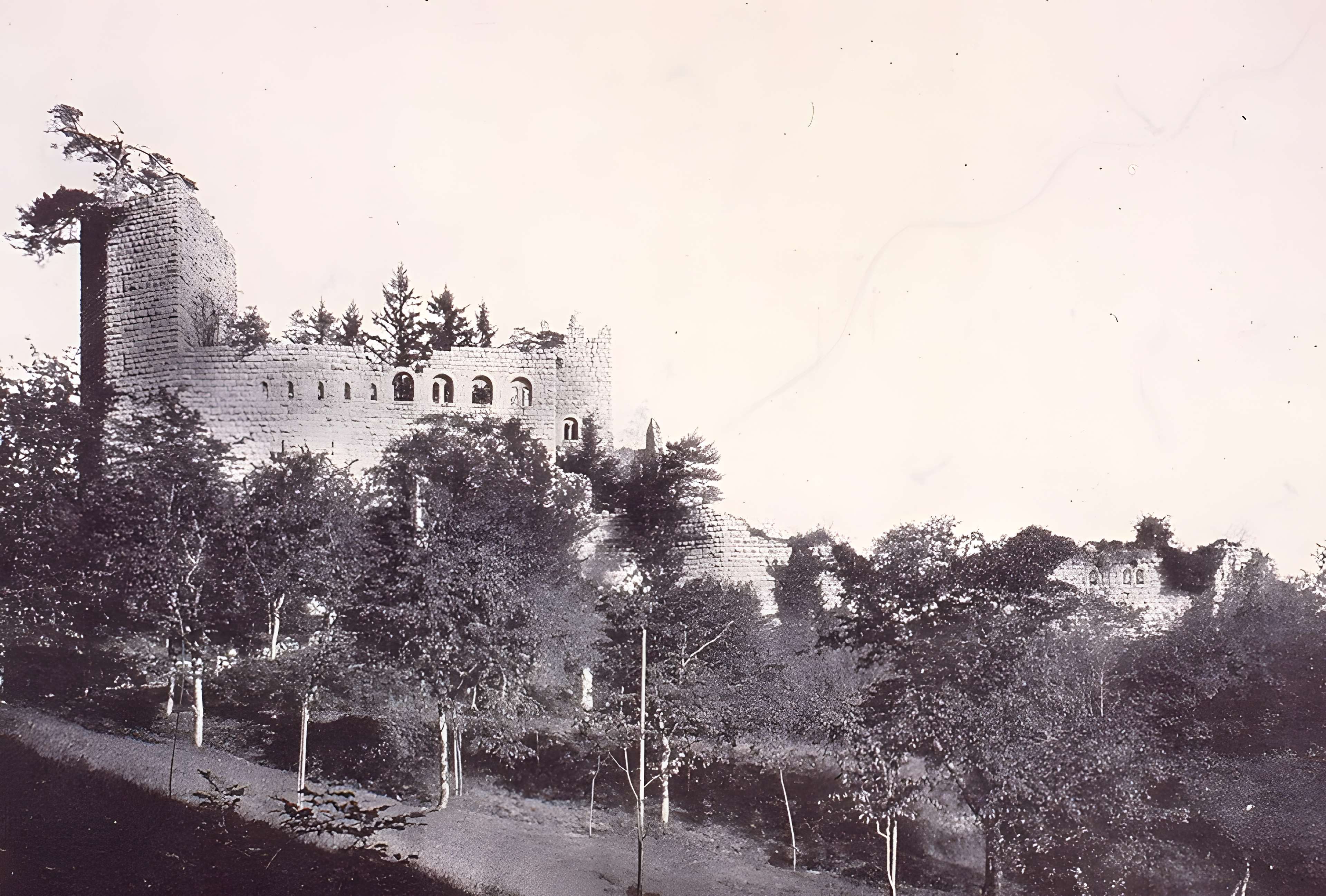 Château du Bernstein