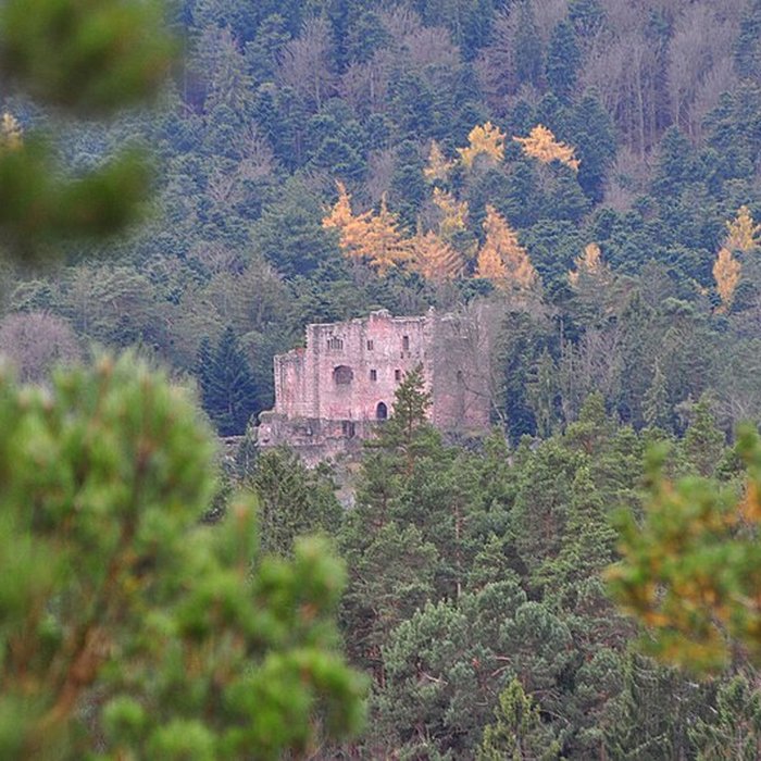 Photo de Ruines du château de Birkenfels