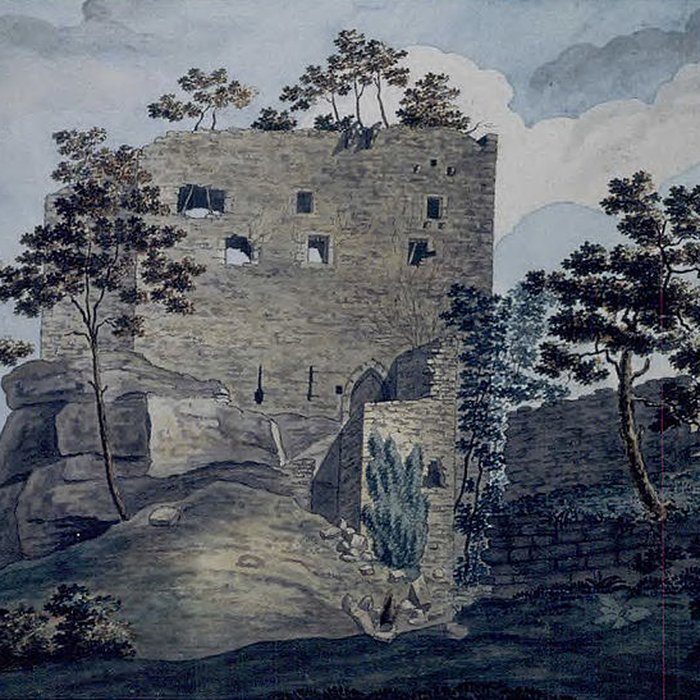 Photo de Ruines du château de Birkenfels