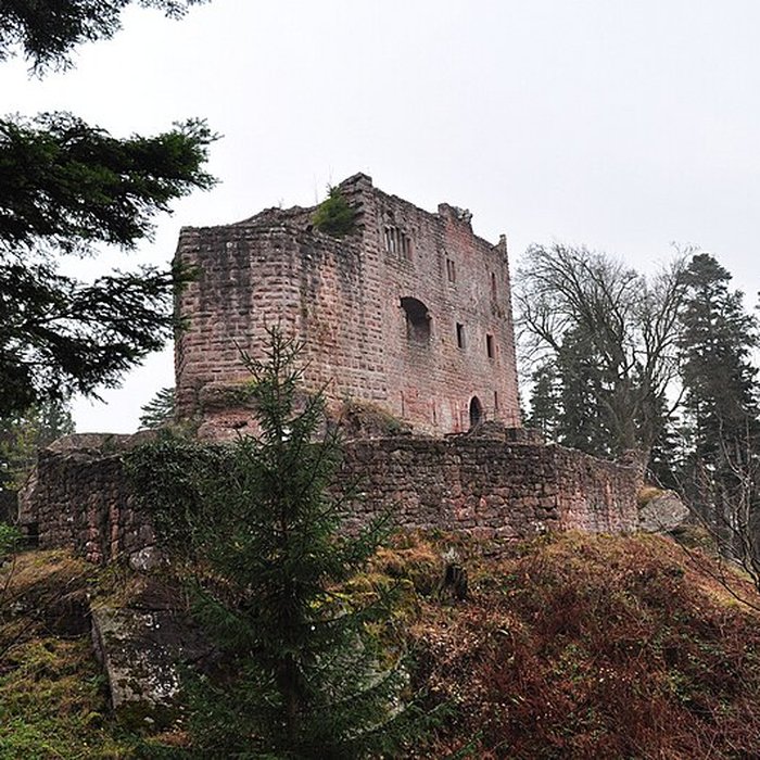 Photo de Ruines du château de Birkenfels