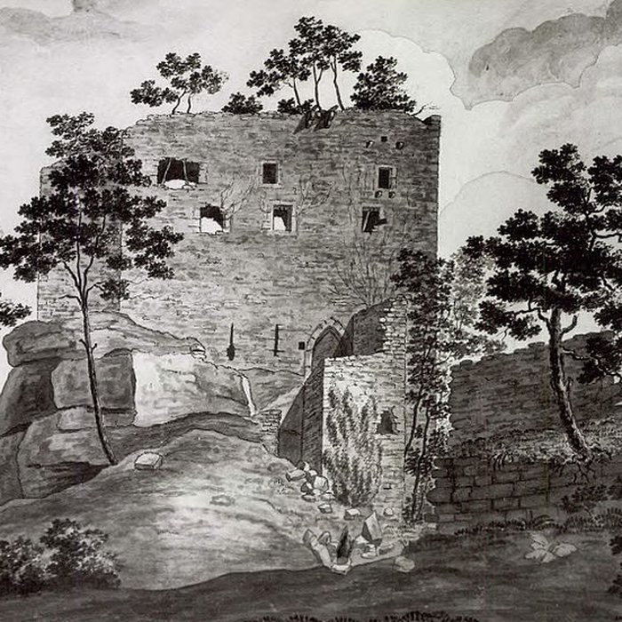 Photo de Ruines du château de Birkenfels