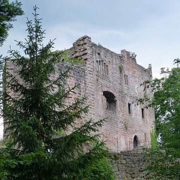 Ruines du château de Birkenfels