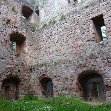 Ruines du château de Birkenfels